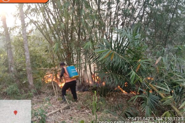 djembefola.com, Kebakaran Hutan dan Lahan di Musi Banyuasin, Sumatera Selatan